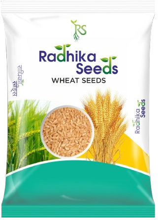 Wheat Premium Seeds