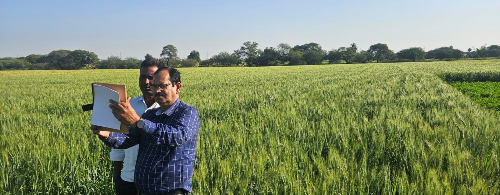 Radhika Seeds Agricultural Trial Plot