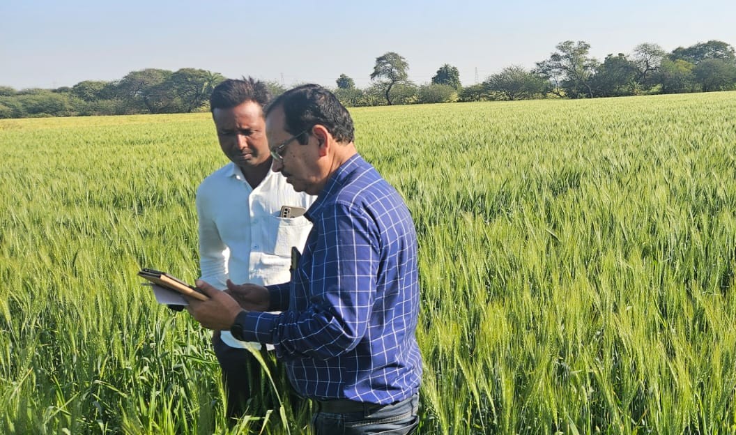 Radhika Seeds Research and Development